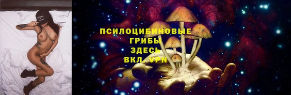 молекула духа Арсеньев