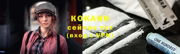ПСИЛОЦИБИНОВЫЕ ГРИБЫ Армянск