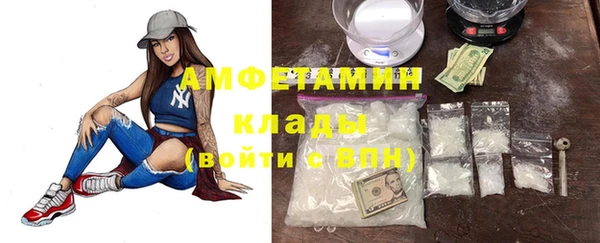 молекула духа Арсеньев