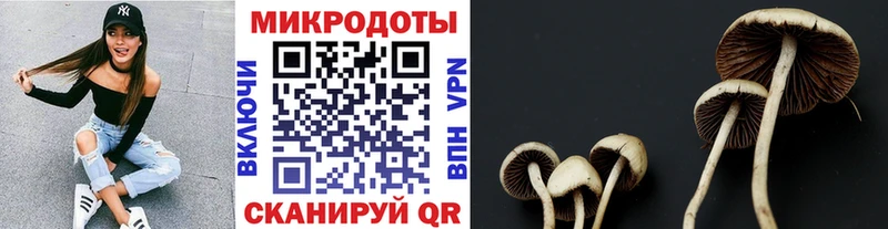 Купить Теберда Галлюциногенные грибы ЛСД