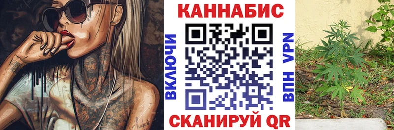 Купить где  Теберда  Канабис сатива 